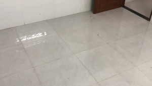 12/38A Lê Tung 33 2 3.4 11 4.65 tỷ Phường 13 Quận 11 3 đến 6