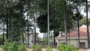 466-468 Tô Ký (số cũ 187.5A) 140 4 4.2 33.2 14.6 tỷ Tân Chánh Hiệp Quận 12 10 đến 20