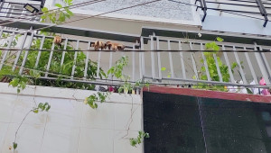 891/41/1A Nguyễn Kiệm 44/50 5 6.3 7 6.4 tỷ Phường 3 Gò Vấp 6 đến 10