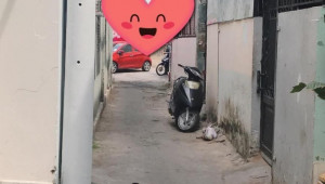 139/24/1B Đường số 28 41 2 3.2/4.1 10.8 2.75 tỷ Phường 6 Gò Vấp nhỏ 3