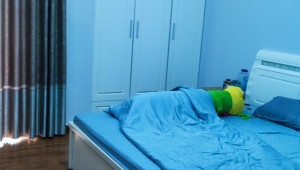 220/48/5A Đường số 10 78 4 4.5 17.5 8.2 tỷ Phường 9 Gò Vấp 6 đến 10