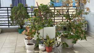 211/79 Hoàng Hoa Thám 56 4 4.7 12 10.5 tỷ Phường 5 Phú Nhuận 10 đến 20