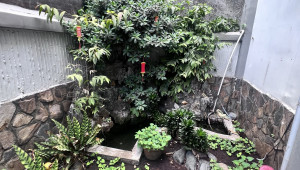 298/3 Nguyễn Trọng Tuyển 204 2 10 20 37 tỷ Phường 1 Tân Bình 20 đến 50