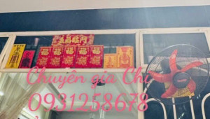 888/87/8 Lạc Long Quân 33 3 4 8.5 5.6 tỷ Phường 8 Tân Bình 3 đến 6