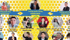 250/23 Bàu Cát 104 2 4.8/5.1 21 11.2 tỷ Phường 11 Tân Bình 10 đến 20