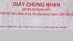 Bán nhà 44-46 Nguyễn Thông Võ Thị Sáu Quận 3