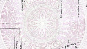 Bán nhà 3-3A Số 43 Thảo Điền Thành phố Thủ Đức