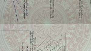 Bán nhà 41 Số 60 Thạnh Mỹ Lợi Thành phố Thủ Đức