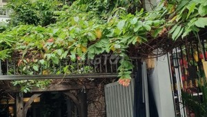 Bán nhà 2025-02-24 00:00:00 Phạm Ngọc Thạch Võ Thị Sáu Quận 3