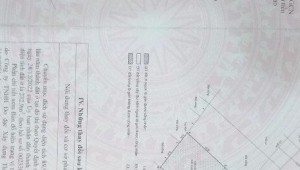 Bán nhà Thửa: 555Tờ: 14 Số 63 Thảo Điền Thành phố Thủ Đức