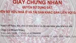 Bán nhà 55 Ngô Quang Huy Thảo Điền Thành phố Thủ Đức