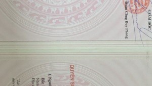 Bán nhà 60 Số 62 Thảo Điền Thành phố Thủ Đức