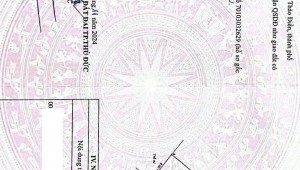 Bán nhà 215B12 Nguyễn Văn Hưởng Thảo Điền Thành phố Thủ Đức