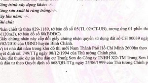 Bán nhà 206 Số 7 Bình Hưng Huyện Bình Chánh
