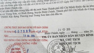 Bán nhà 1 Số 7 Bình Hưng Huyện Bình Chánh