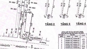 Bán nhà 50 Số 79 Tân Quy Quận 7