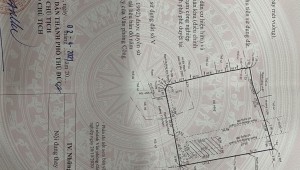 Bán nhà Thửa: 568Tờ: 37 Số 11 Hiệp Bình Phước Thành phố Thủ Đức