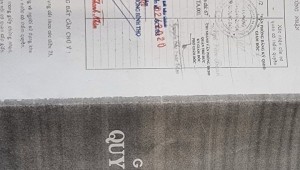 Bán nhà 65-67 Hoàng Diệu Linh Trung Thành phố Thủ Đức