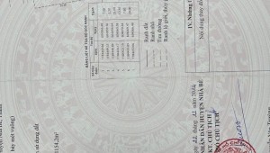 Bán nhà 1203/2 Lê Văn Lương Phước Kiển Huyện Nhà Bè