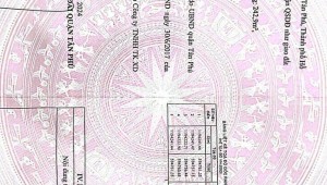 Bán nhà 481/23/10Thửa: 533Tờ: 19 Tân Kỳ Tân Quý Tân Quý Quận Tân Phú