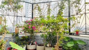 Bán nhà 262/26a Lũy Bán Bích Hòa Thạnh Quận Tân Phú