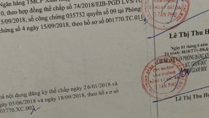 Bán nhà 38 Hoàng Xuân Hoành Hiệp Tân Quận Tân Phú