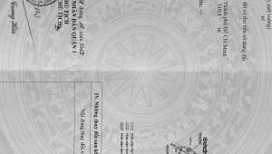 Bán nhà 15A/17 Lê Thánh Tôn Bến Nghé Quận 1