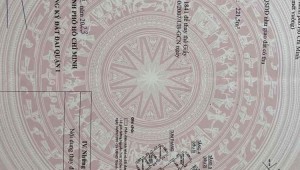 Bán nhà 139D Nguyễn Trãi Bến Thành Quận 1
