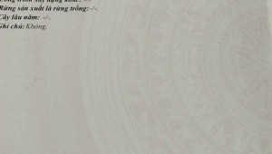 Bán nhà 64/9C Trần Đình Xu Cô Giang Quận 1