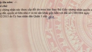 Bán nhà 1B Đề Thám Cô Giang Quận 1