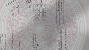 Bán nhà 69 Nguyễn Thái Học Cầu Ông Lãnh Quận 1