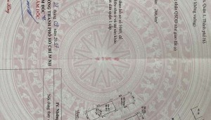 Bán nhà 87 Nguyễn Công Trứ Nguyễn Thái Bình Quận 1