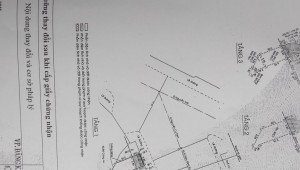 Bán nhà 213A Nguyễn Cư Trinh Nguyễn Cư Trinh Quận 1
