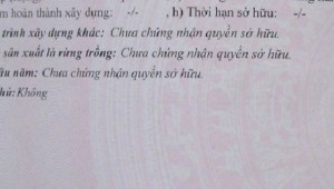Bán nhà 29a Cao Bá Nhạ Nguyễn Cư Trinh Quận 1
