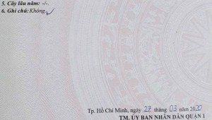 Bán nhà C39 Nguyễn Trãi Nguyễn Cư Trinh Quận 1