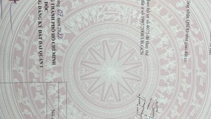 Bán nhà 214/b15 Nguyễn Trãi Nguyễn Cư Trinh Quận 1