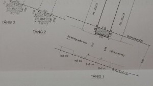 Bán nhà 233/16 Nguyễn Trãi Nguyễn Cư Trinh Quận 1