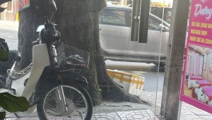 Bán nhà 280 Cống Quỳnh Phạm Ngũ Lão Quận 1