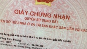 Bán nhà 183/4-6-8 Bùi Viện Phạm Ngũ Lão Quận 1