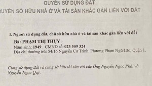 Bán nhà 54/16 Nguyễn Cư Trinh Phạm Ngũ Lão Quận 1