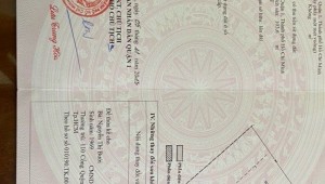 Bán nhà 110 Cống Quỳnh Phạm Ngũ Lão Quận 1