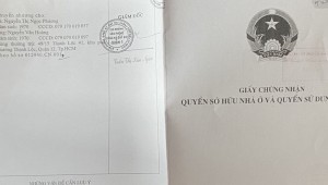 Bán nhà 217/34 Đề Thám Phạm Ngũ Lão Quận 1