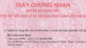 Bán nhà 46 Đặng Dung Tân Định Quận 1