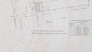 Bán nhà 53/1/2 Trần Khánh Dư Tân Định Quận 1