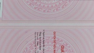 Bán nhà 81 Trần Khánh Dư Tân Định Quận 1