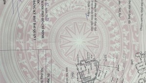Bán nhà 277+279+212/158/198 Hoàng Sa Tân Định Quận 1