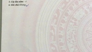 Bán nhà 478/2 Hai Bà Trưng Tân Định Quận 1