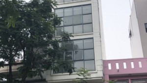 Bán nhà 287 Đinh Tiên Hoàng Tân Định Quận 1