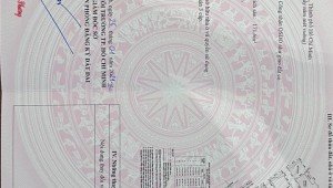 Bán nhà 335/33 Điện Biên Phủ Phường 14 Quận 3