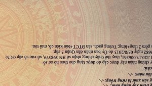 Bán nhà 224 Phùng Hưng Phường 1 Quận 5